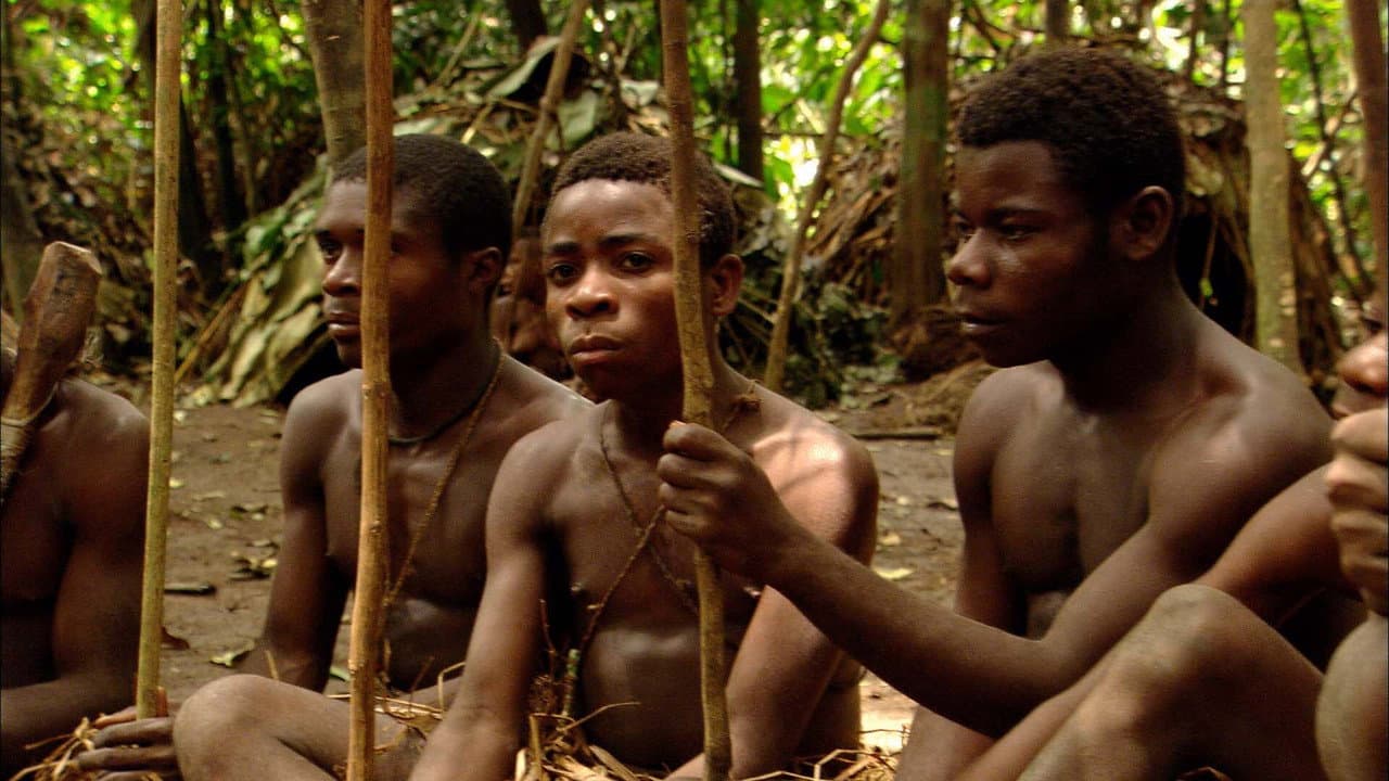 Backdrop – Pigmeos: la agonía del dios verde