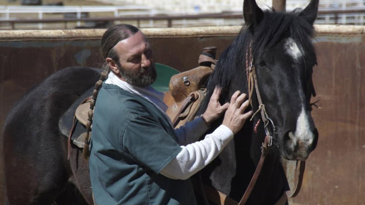 Backdrop – The Wild Horse Redemption
