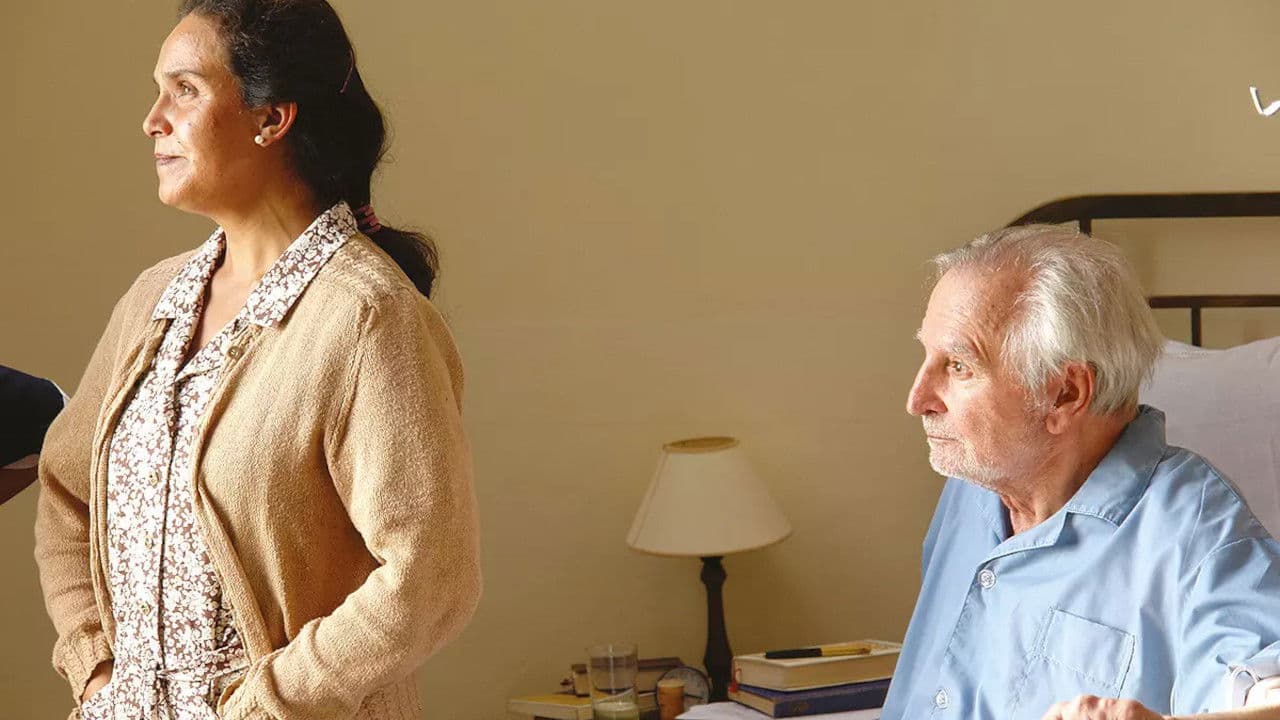 Backdrop – La ventana