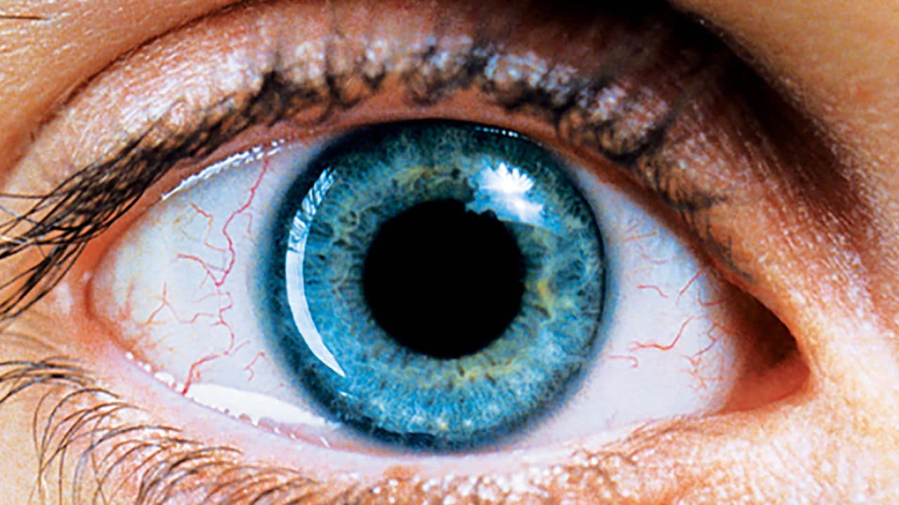 Backdrop – Requiem for a Dream