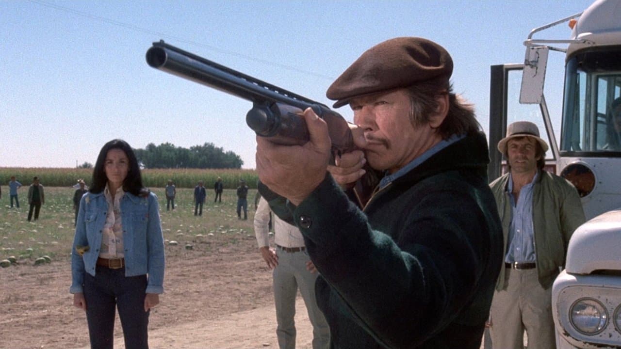 Backdrop – Das Gesetz bin ich