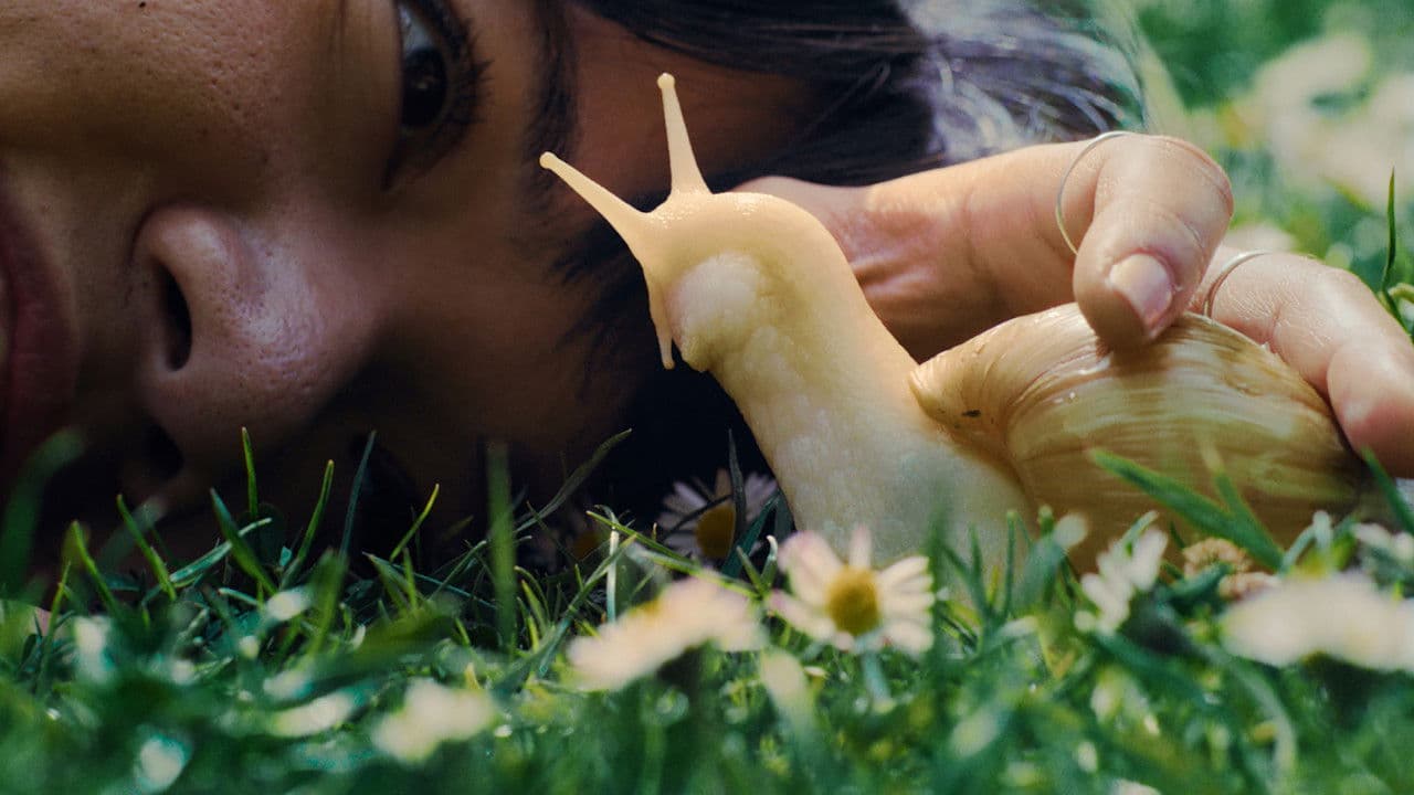 Backdrop – M'n beessie en ik