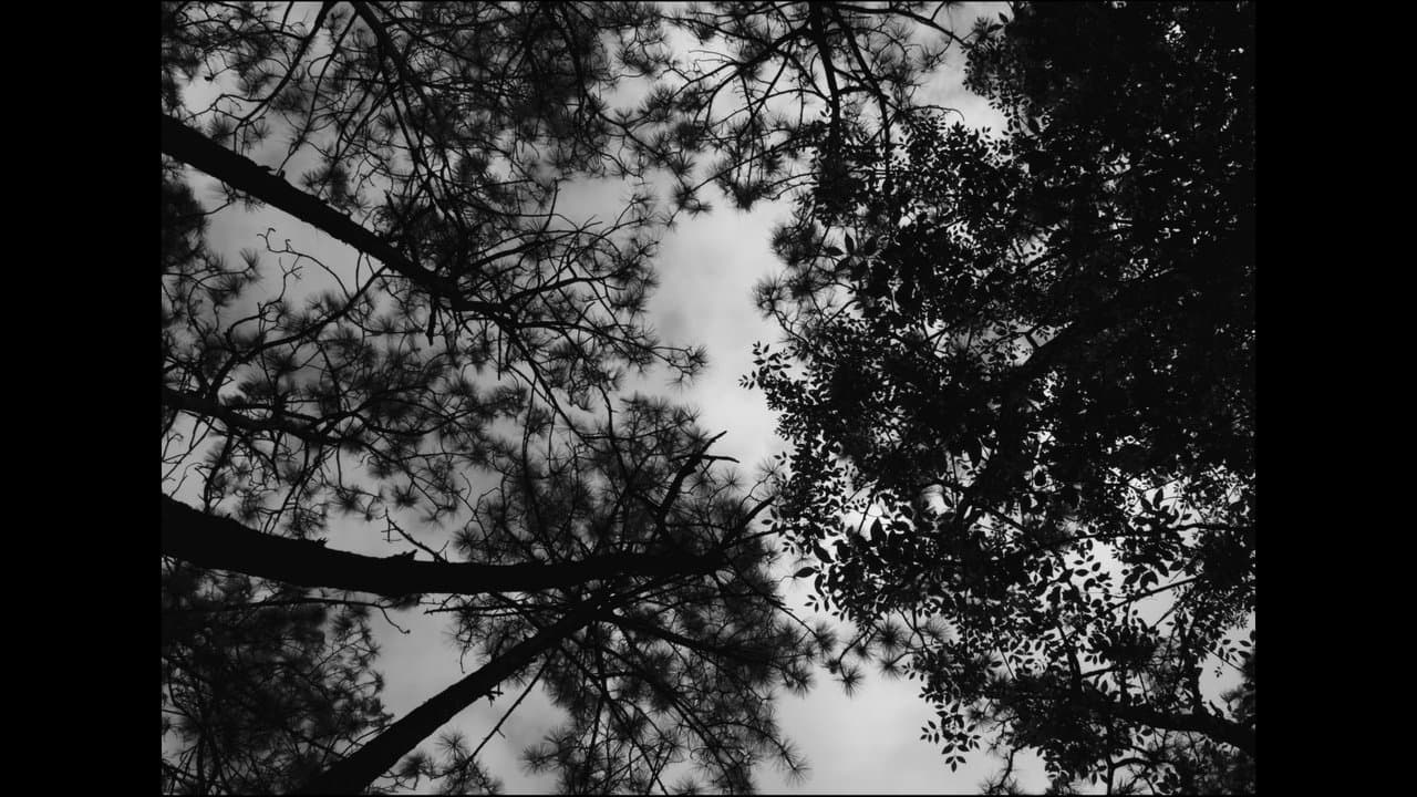 Backdrop – Frankenstein