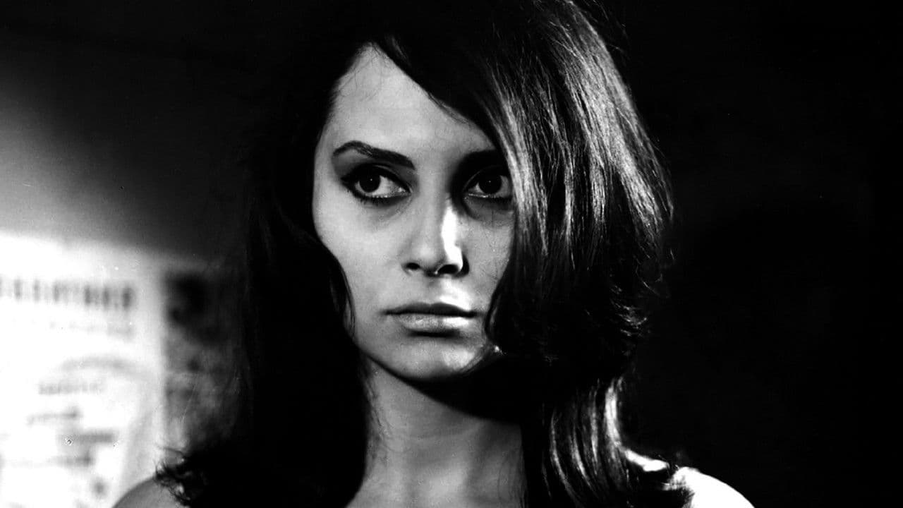 Backdrop – Tople godine