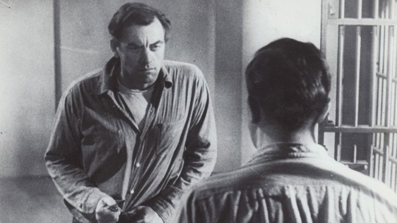 Backdrop – The Steel Cage