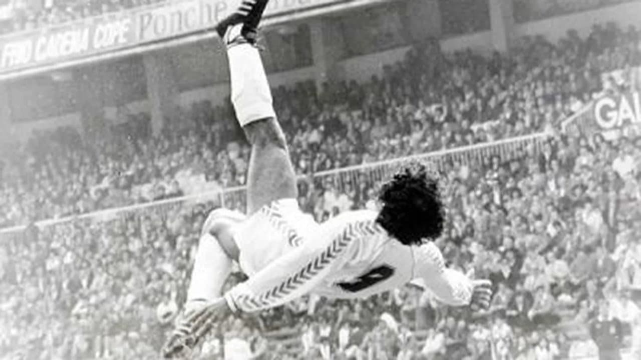 Backdrop – Hugo Sánchez : Sueños de Gol