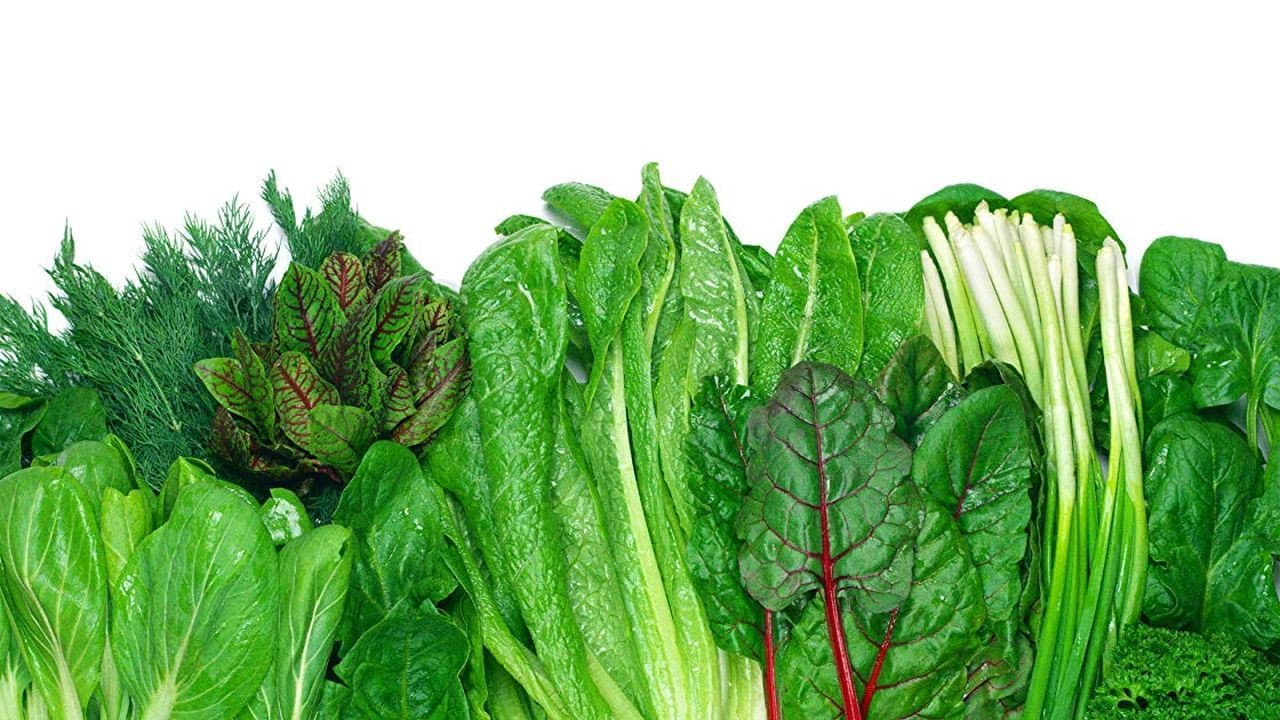 Backdrop – Foods That Cure Disease