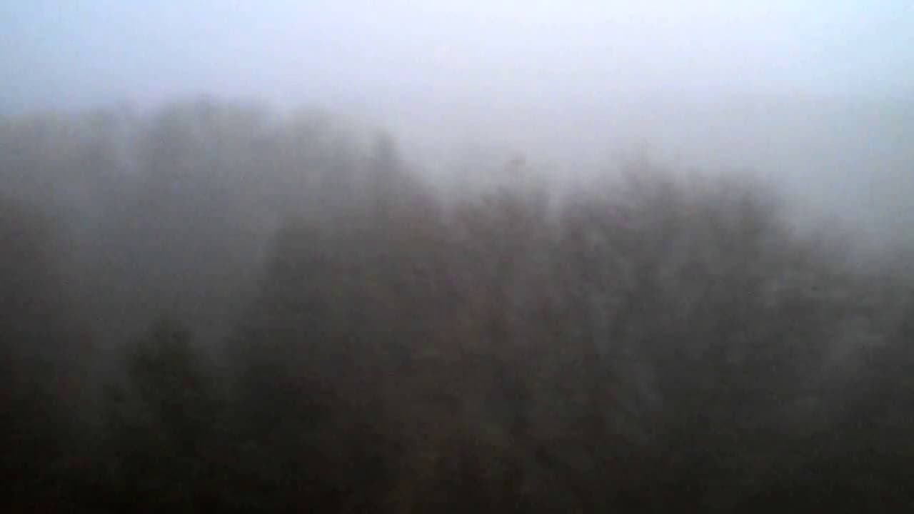 Backdrop – The Land Above The Trees