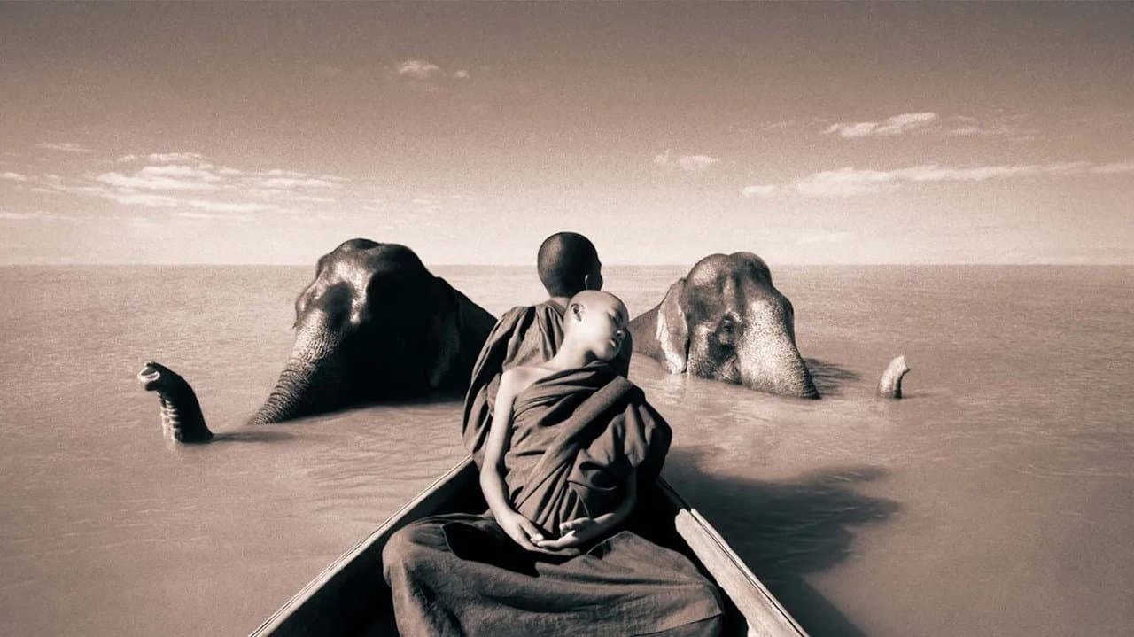 Backdrop – Ashes and Snow