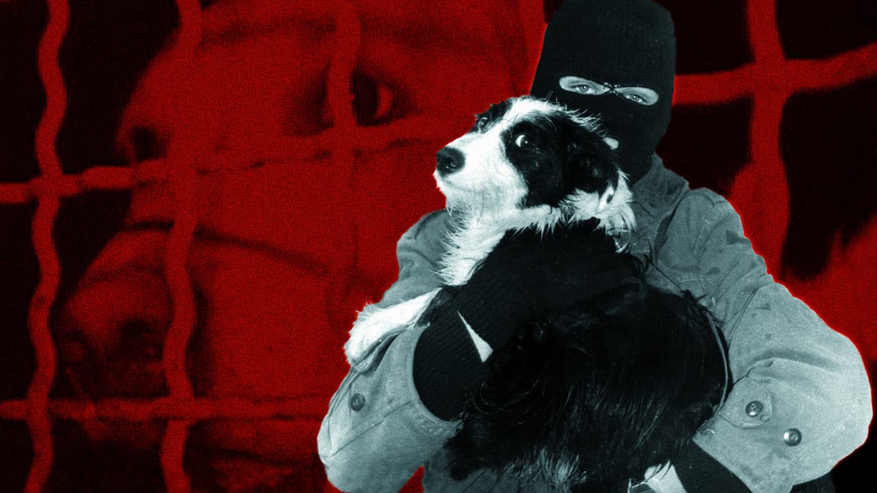 Backdrop – Behind the Mask