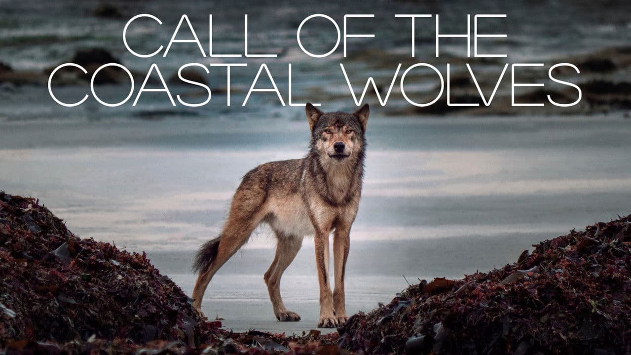 Backdrop – Call Of The Coastal Wolves