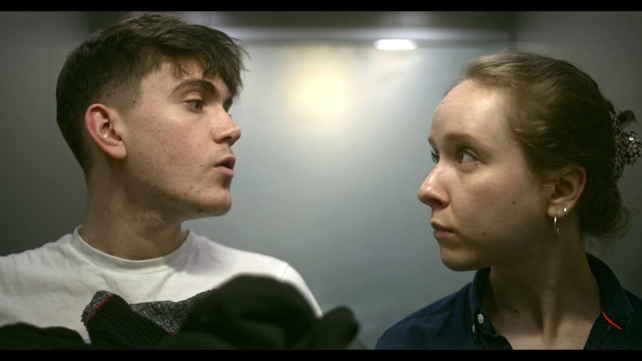 Backdrop – White Roses