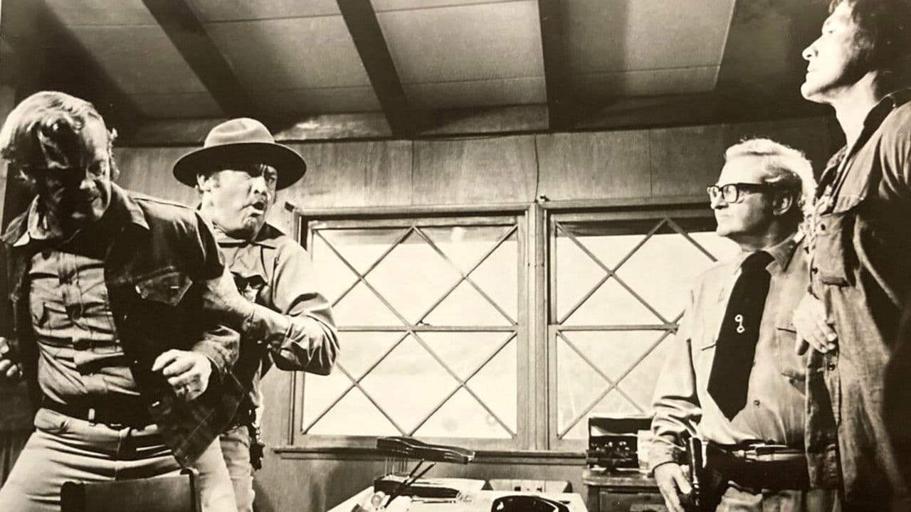 Backdrop – Irrsinn der Gewalt