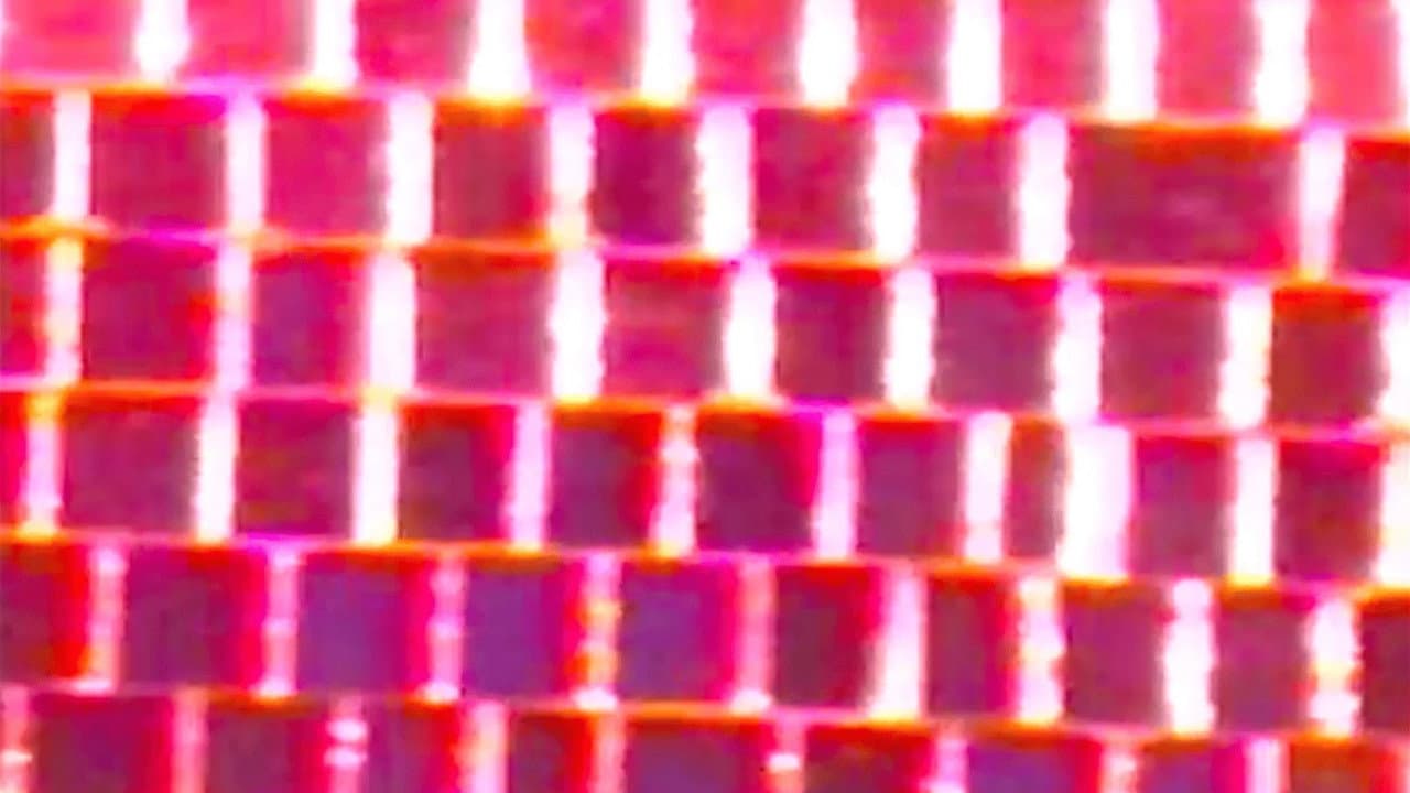 Backdrop – Cool Strangers in the Night