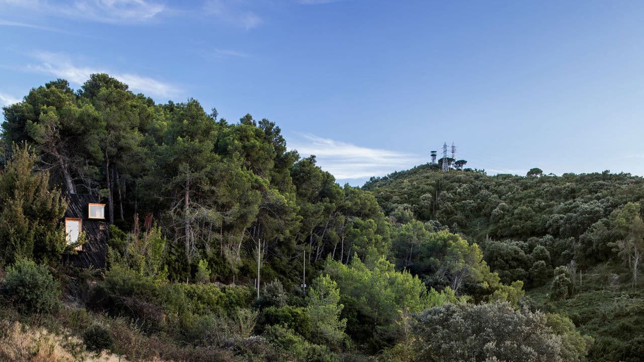Backdrop – Valldaura: A Quarantine Cabin