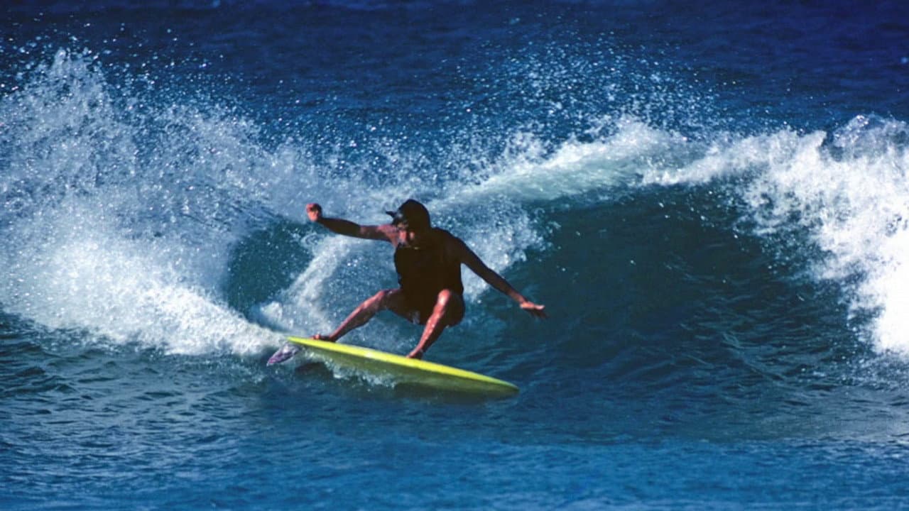 Backdrop – Fish: The Surfboard Documentary