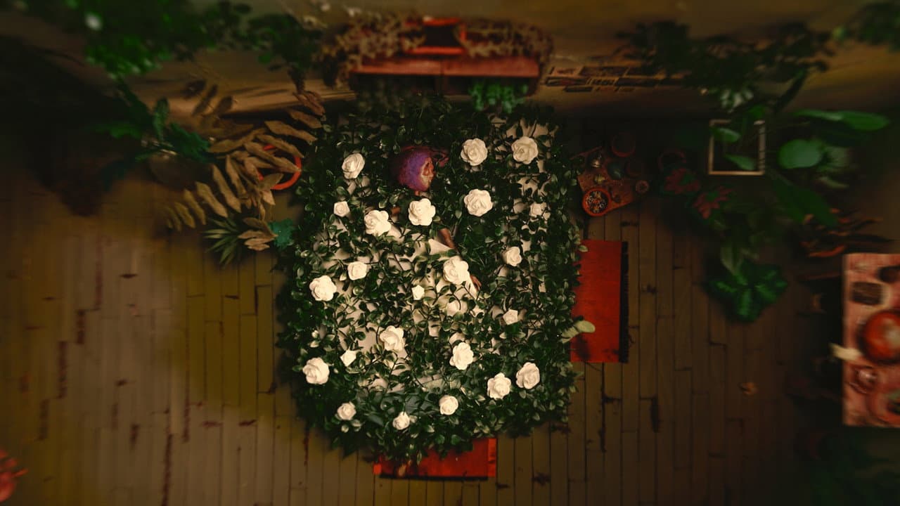 Backdrop – Las plantas también mueren