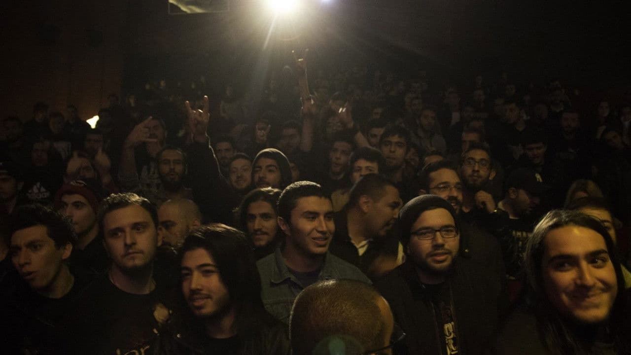 Backdrop – Hide Your Metal