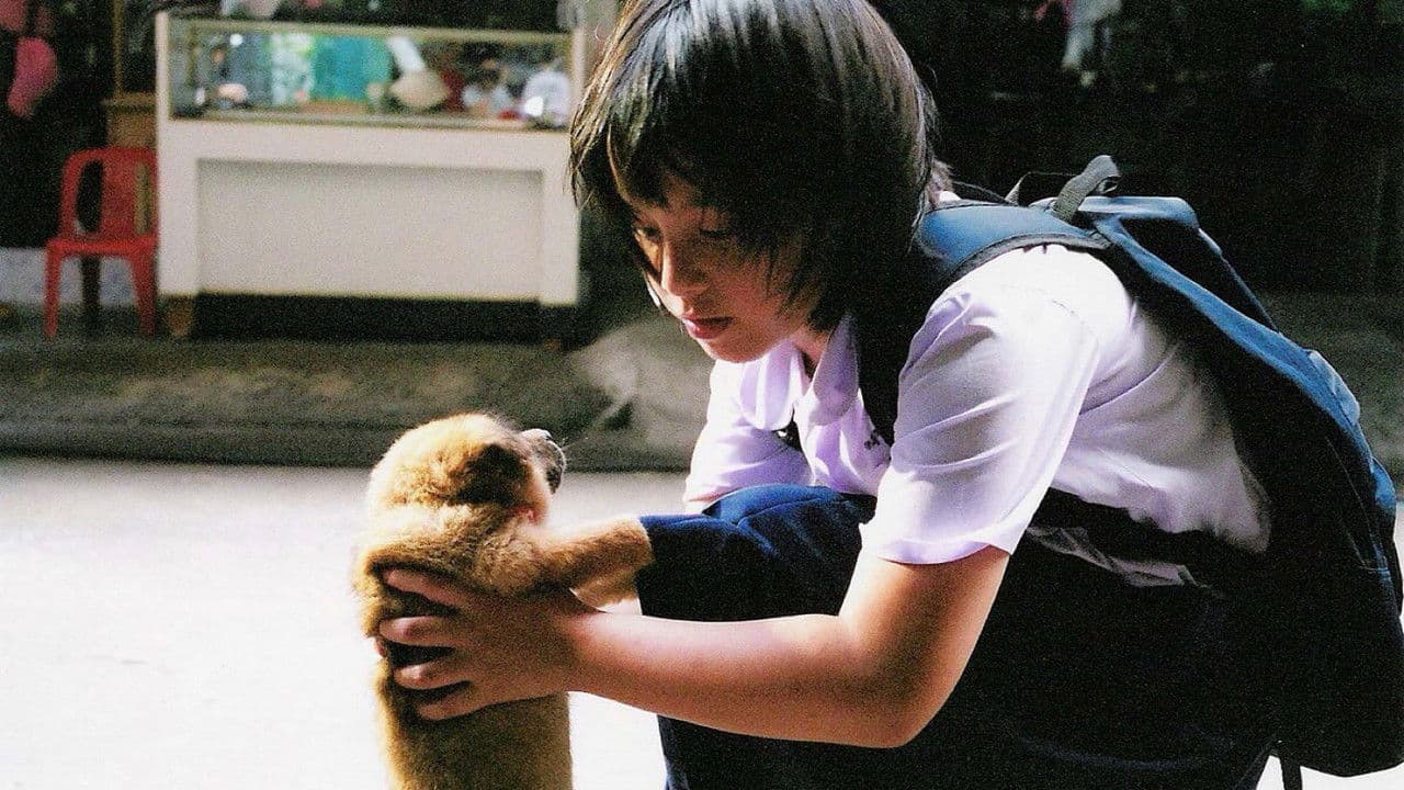 Backdrop – ข้าวเหนียวหมูปิ้ง