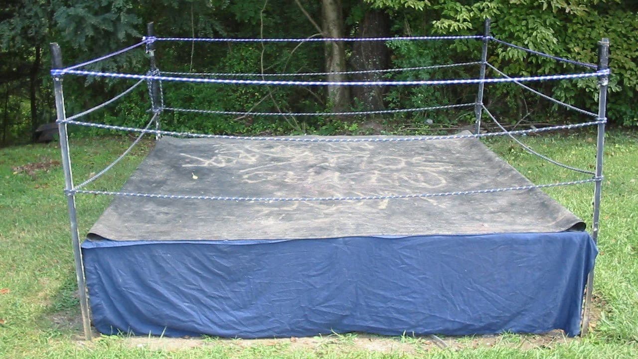 Backdrop – Backyard Dogs