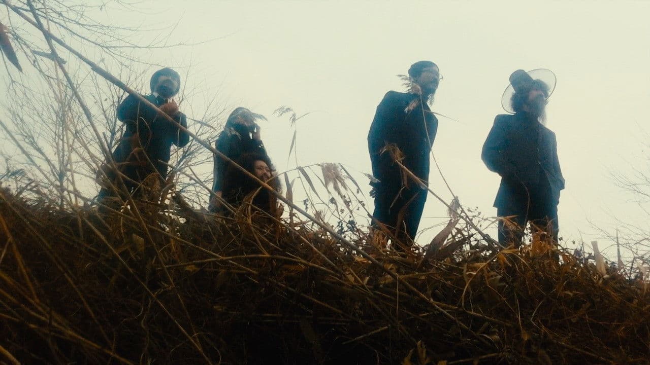 Backdrop – Nachtangeln