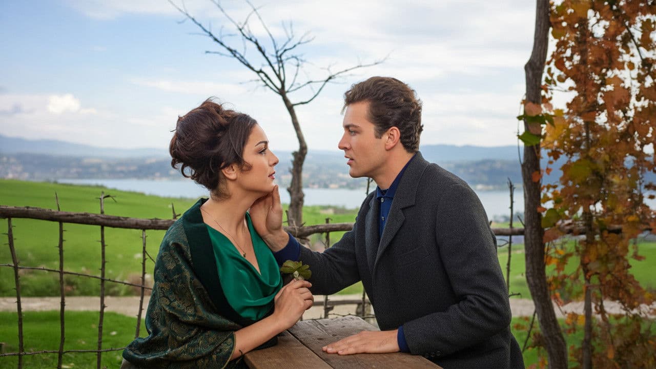 Backdrop – Senede Bir Gün