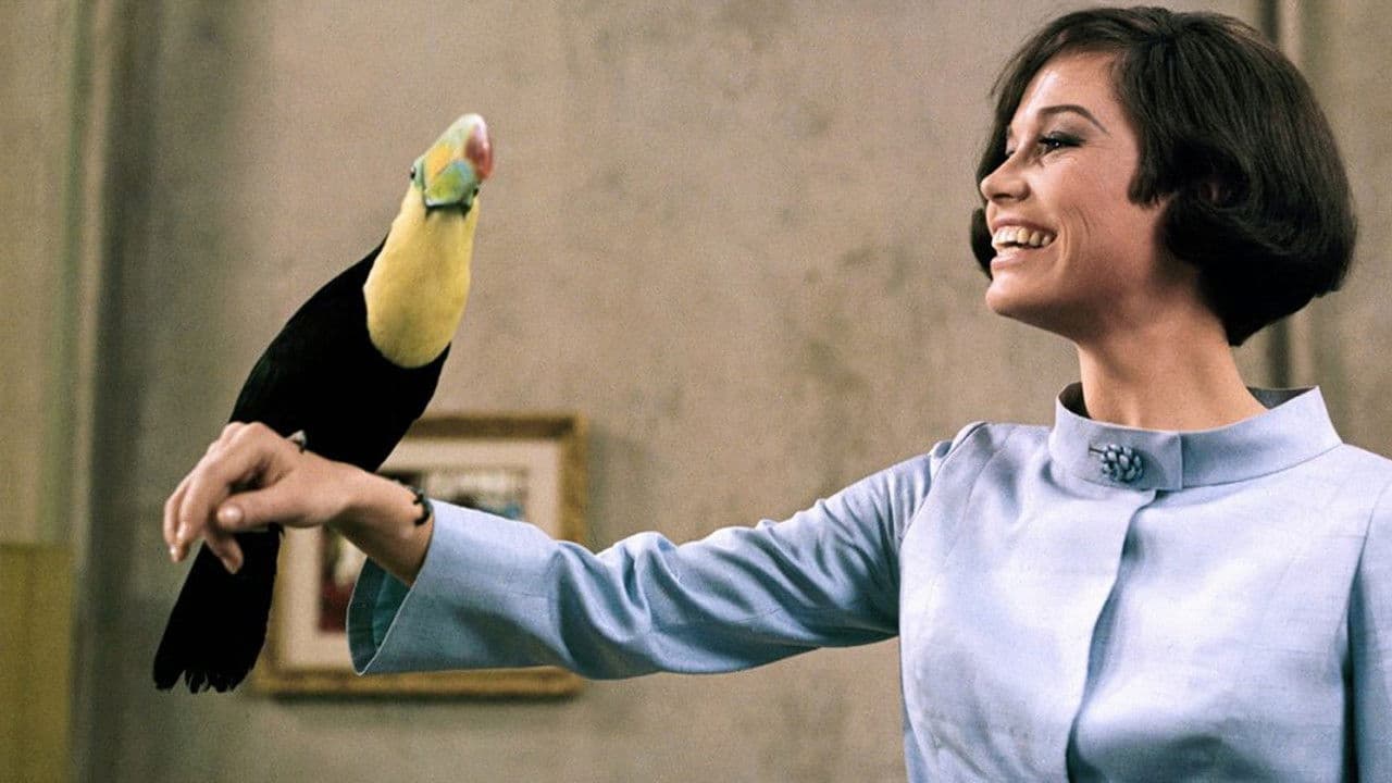 Backdrop – Hochzeitsnacht vor Zeugen