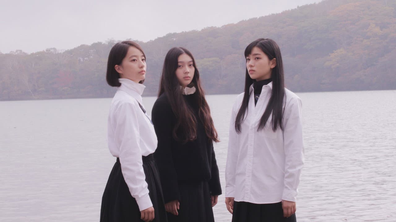 Backdrop – 白の花実