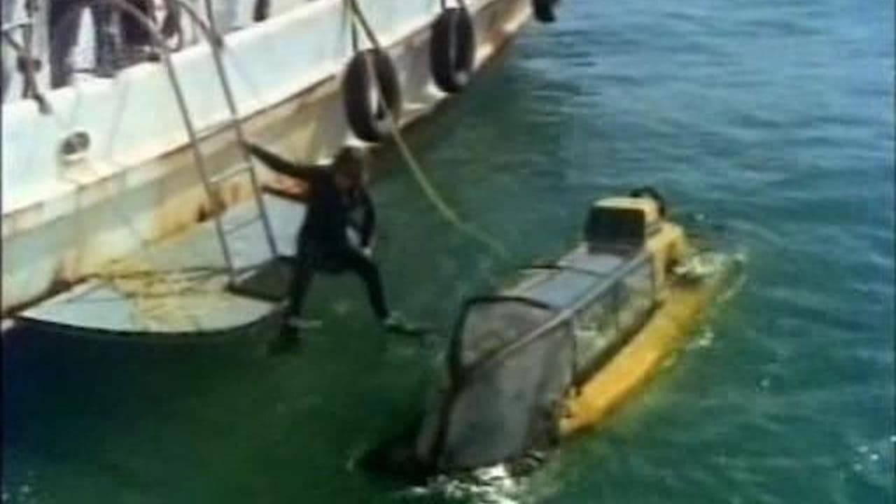 Backdrop – Hunters of the Reef