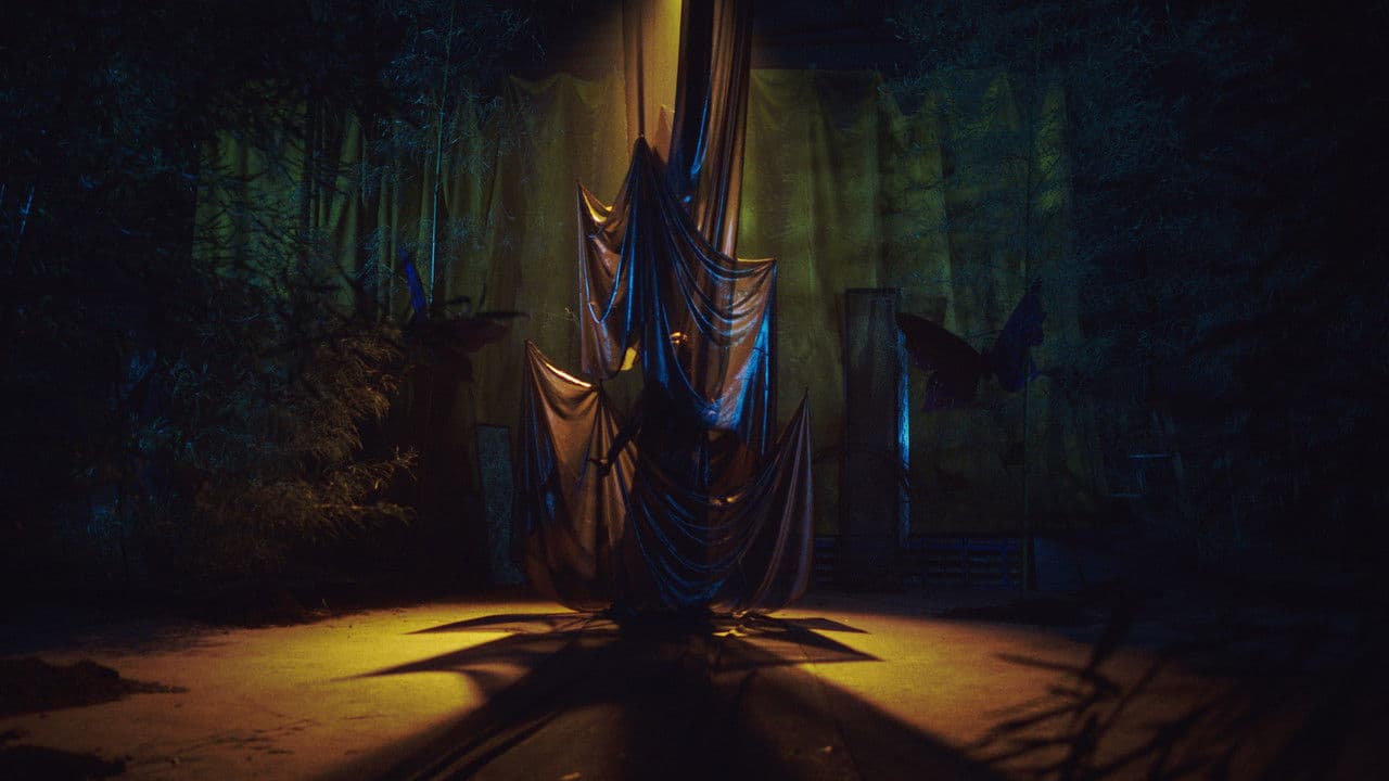 Backdrop – Free Noir Papillon