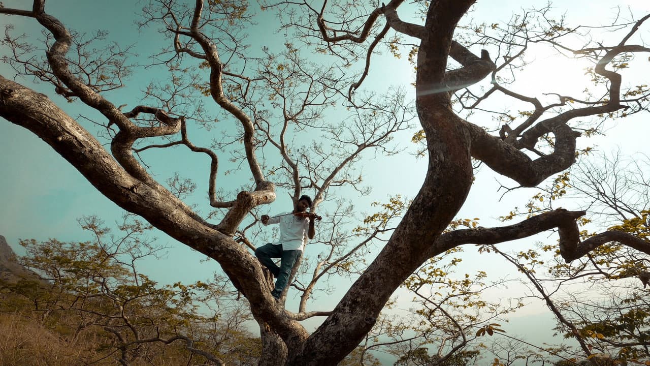 Backdrop – EMO MUSICAL SHORT FILM
