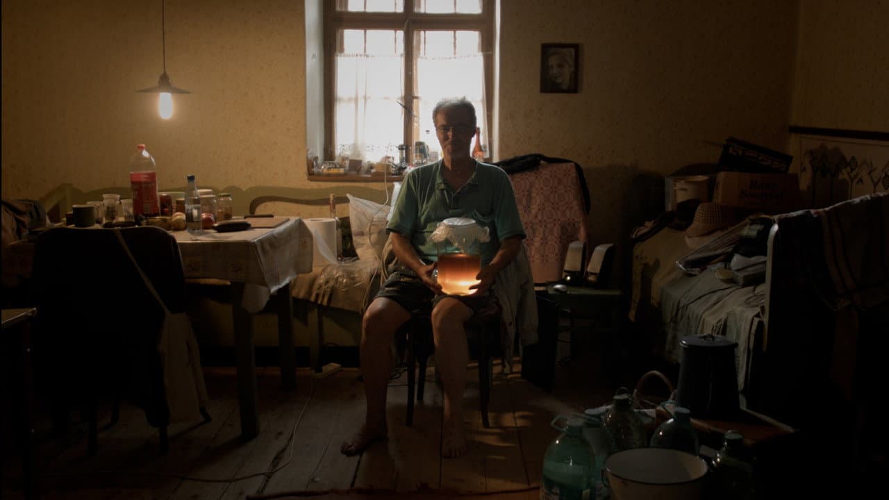 Backdrop – Hymn from the Hive