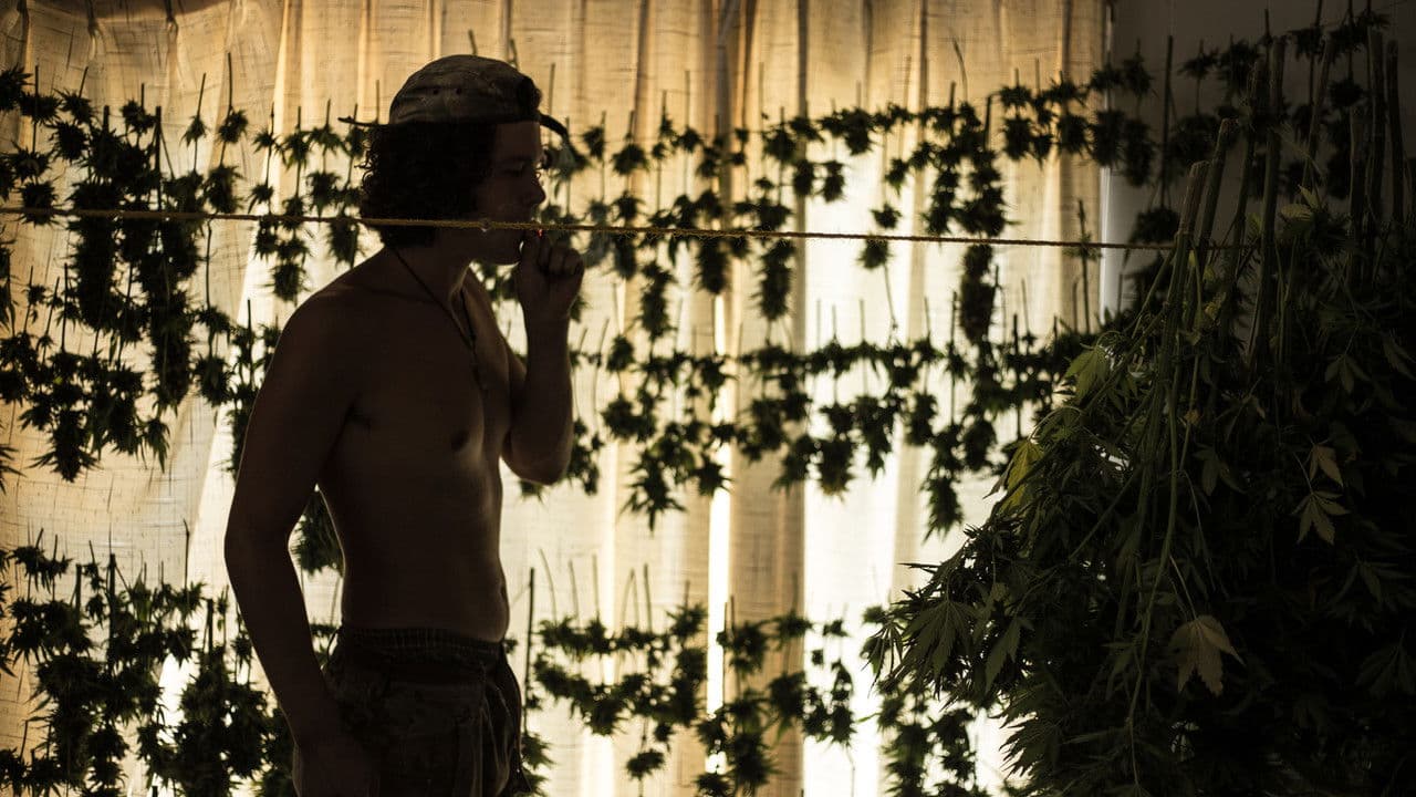 Backdrop – High Landz