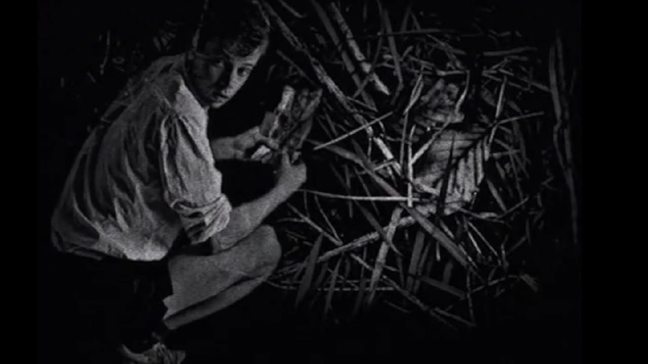 Backdrop – End of Restriction