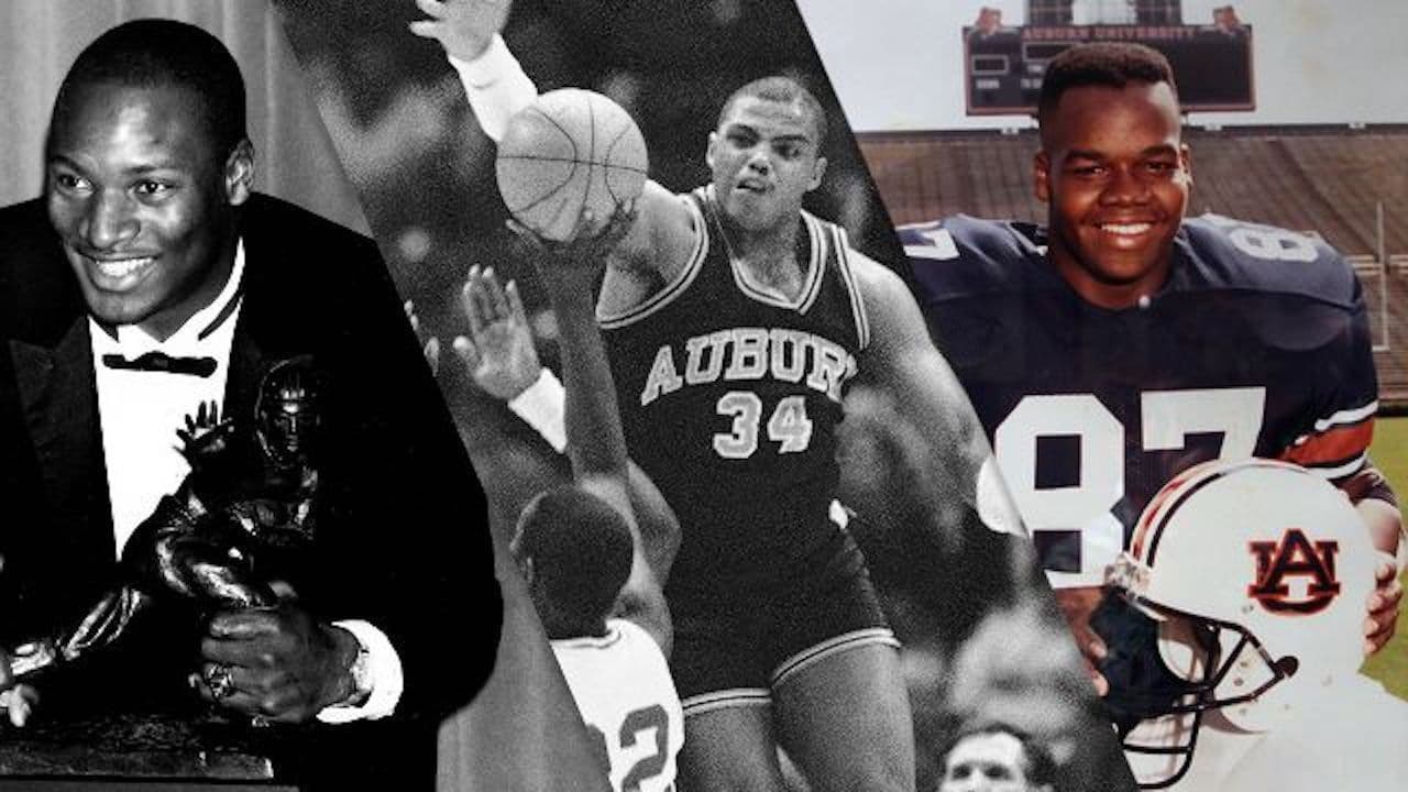 Backdrop – Bo, Barkley and the Big Hurt