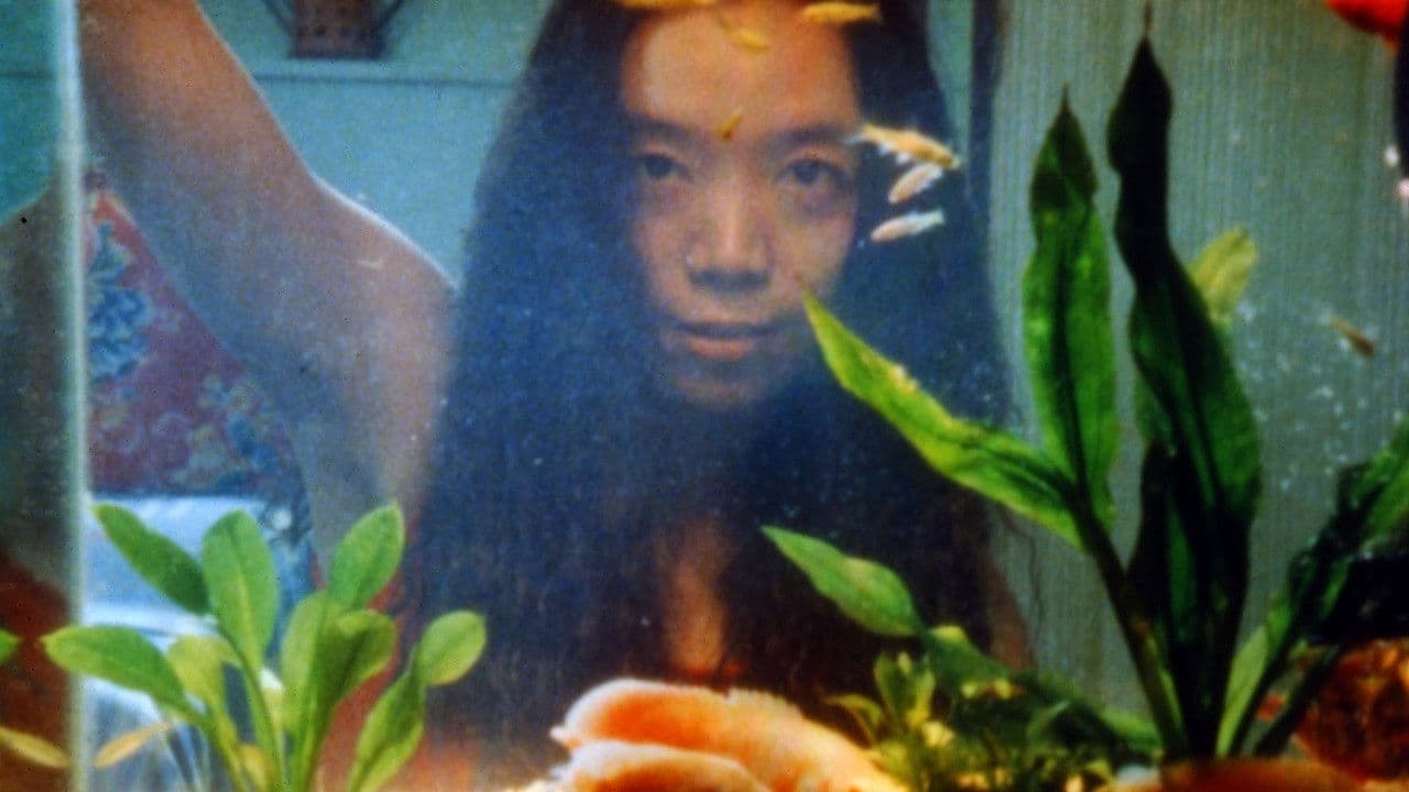 Backdrop – 今年夏天