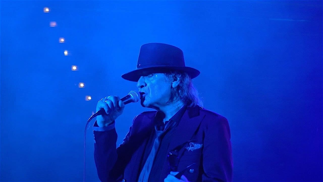 Backdrop – Udo Lindenberg: Stärker als die Zeit - Live