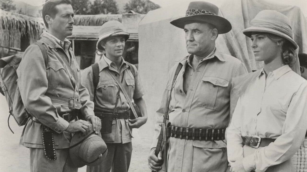 Backdrop – Drums of Africa