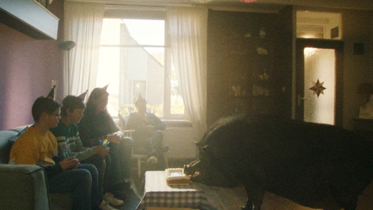 Backdrop – Nelson het minivarken