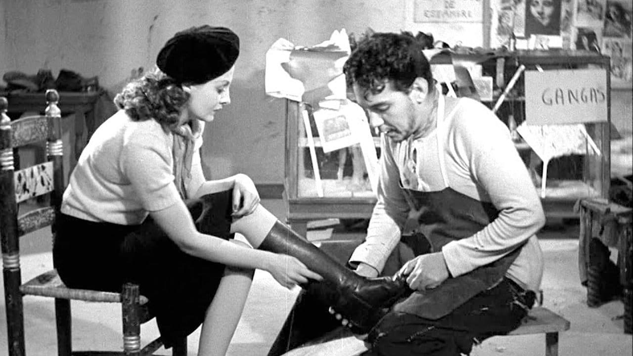 Backdrop – El circo