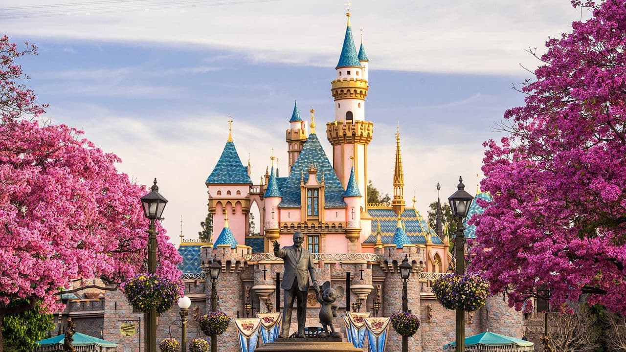 Backdrop – Disneyland 60: The Wonderful World of Disney