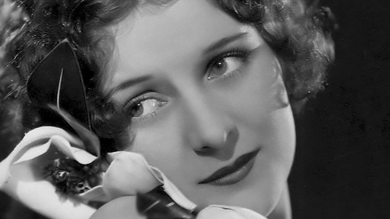 Backdrop – Paradise Island