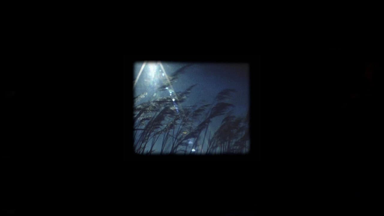 Backdrop – Les films rêvés