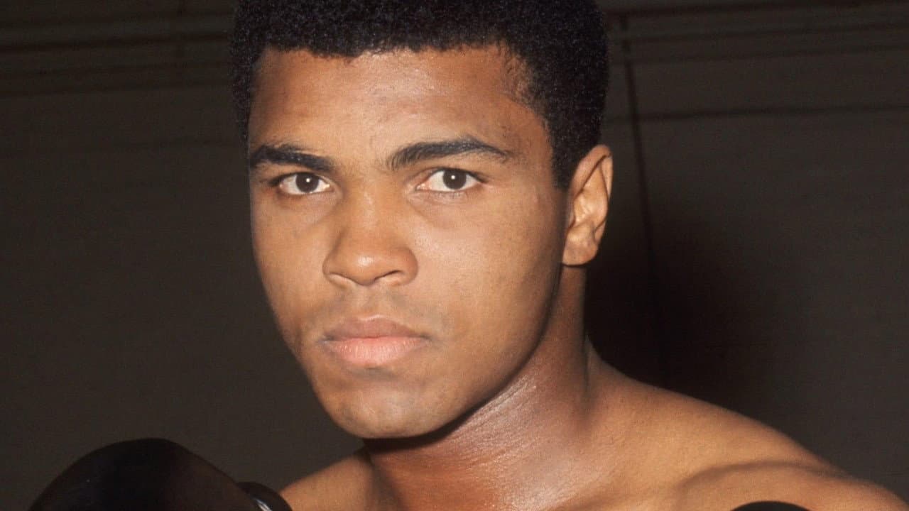 Backdrop – Muhammad Ali - Der Größte