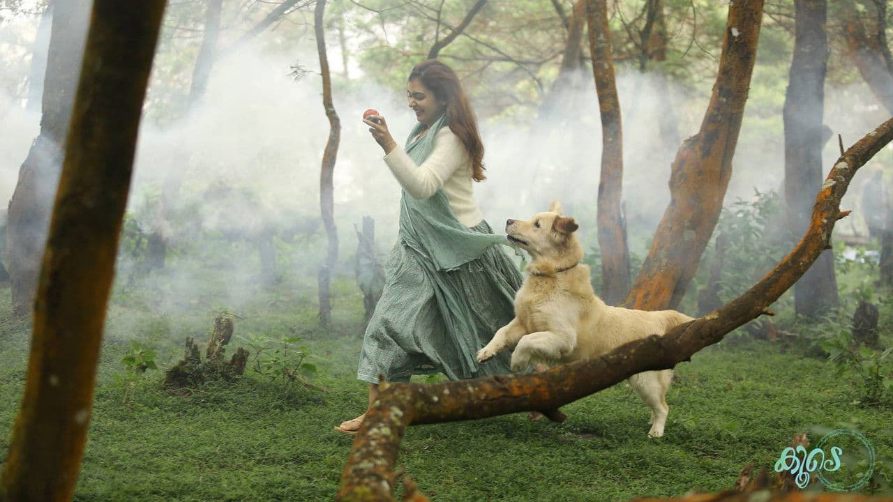 Backdrop – കൂടെ