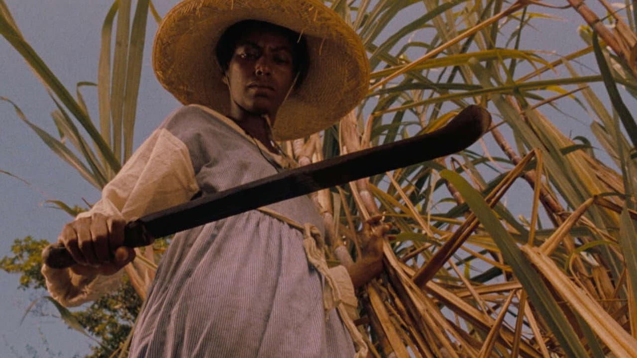 Backdrop – Sankofa