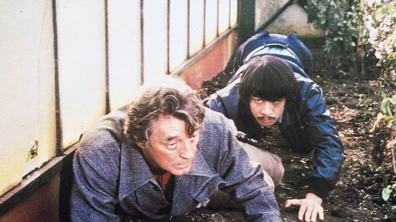 Backdrop – Der Tiger aus Taipeh