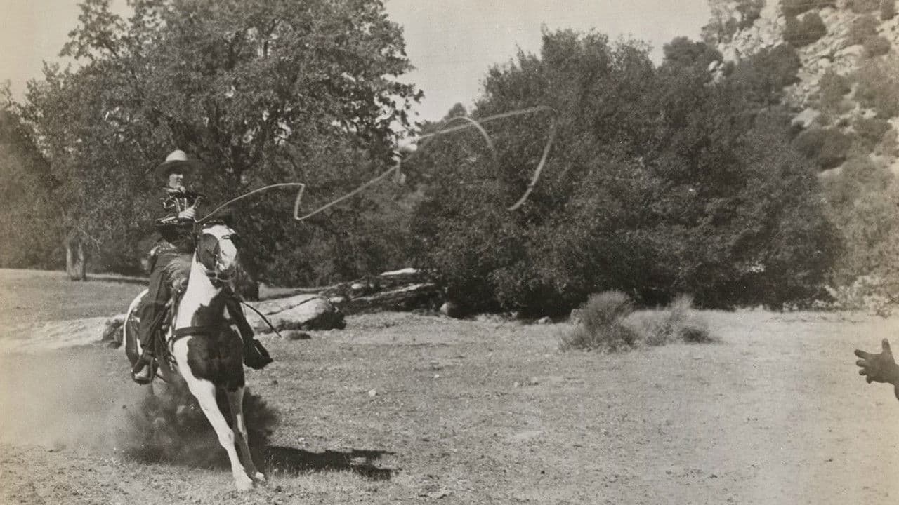 Backdrop – Rainbow Over the Rockies