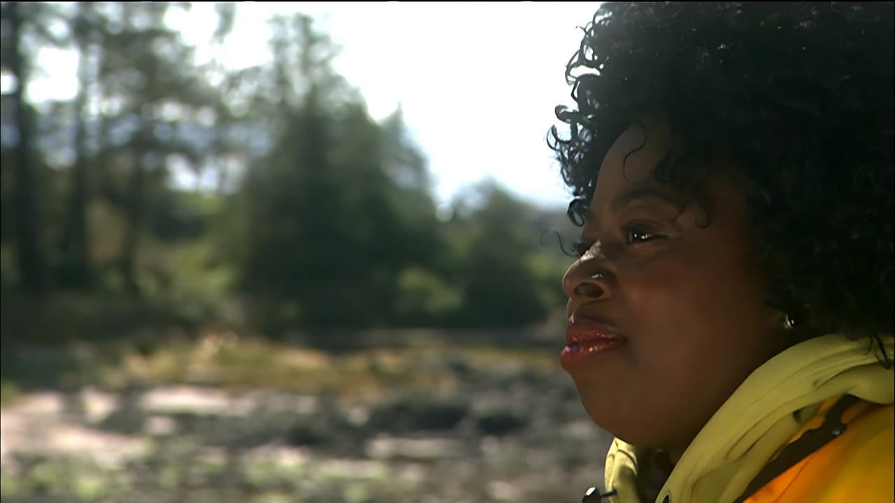 Backdrop – Angie Stone - Live In Vancouver Island