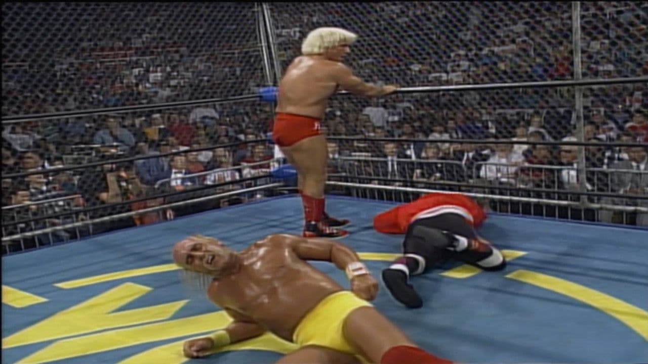 Backdrop – WCW All Nighter 1995